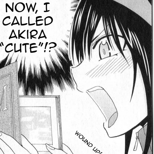Ane Log Chapter 83: Older Sister Housecleaning cover