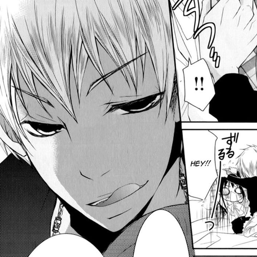 Ani ga Imouto de Imouto ga Ani de. Chapter 13 cover