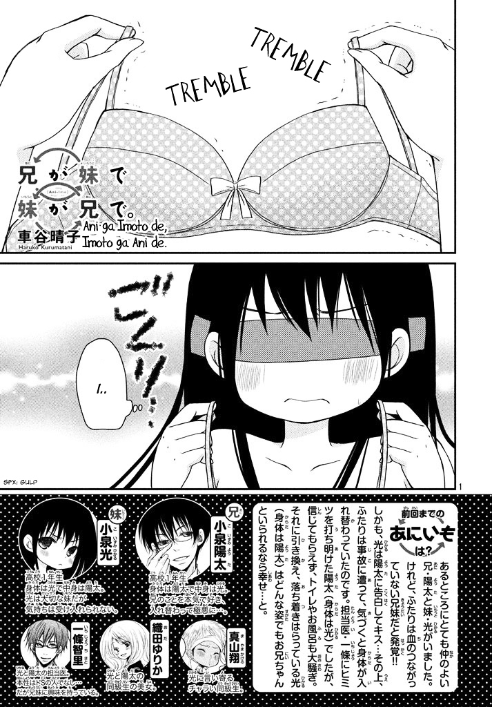 Ani ga Imouto de Imouto ga Ani de. Chapter 3.2 page 4 - Chapter 3 v2 : Episode: 3