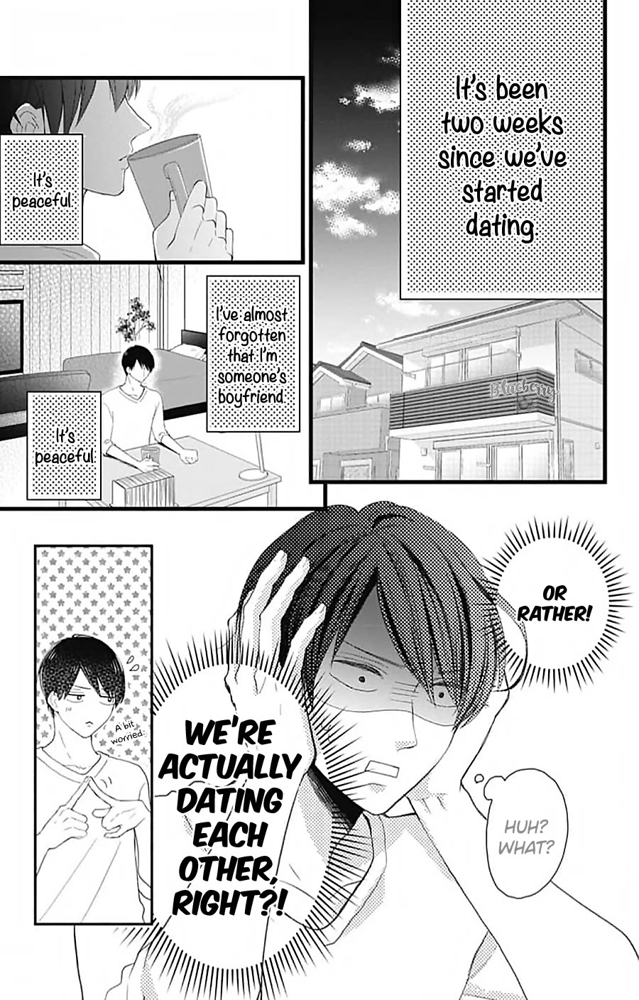 Ani ga kareshi de, gomen Chapter 15 page 14 - Chapter 15