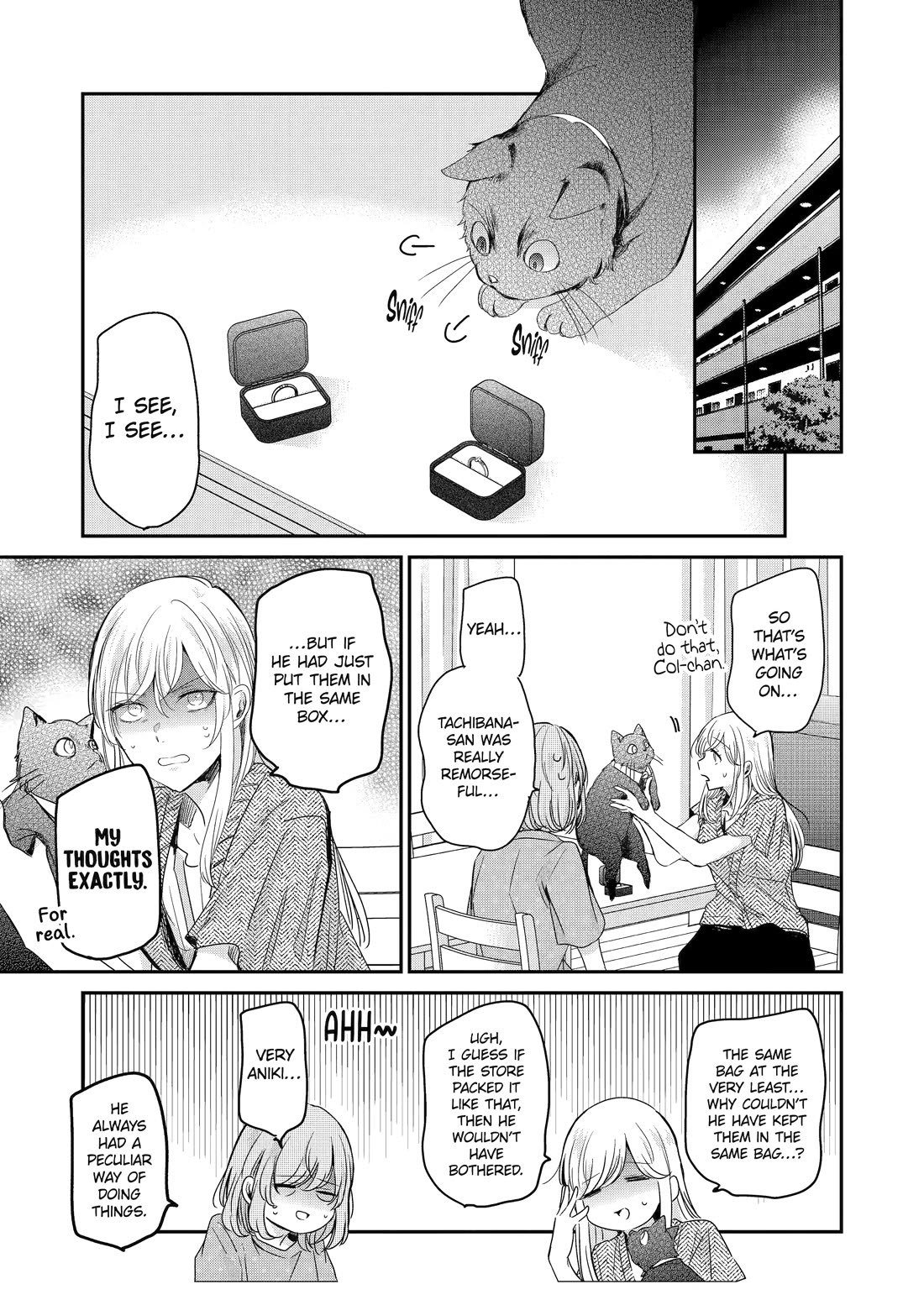 Ani no Yome to Kurashite Imasu. Chapter 144 page 3 - Chapter 144