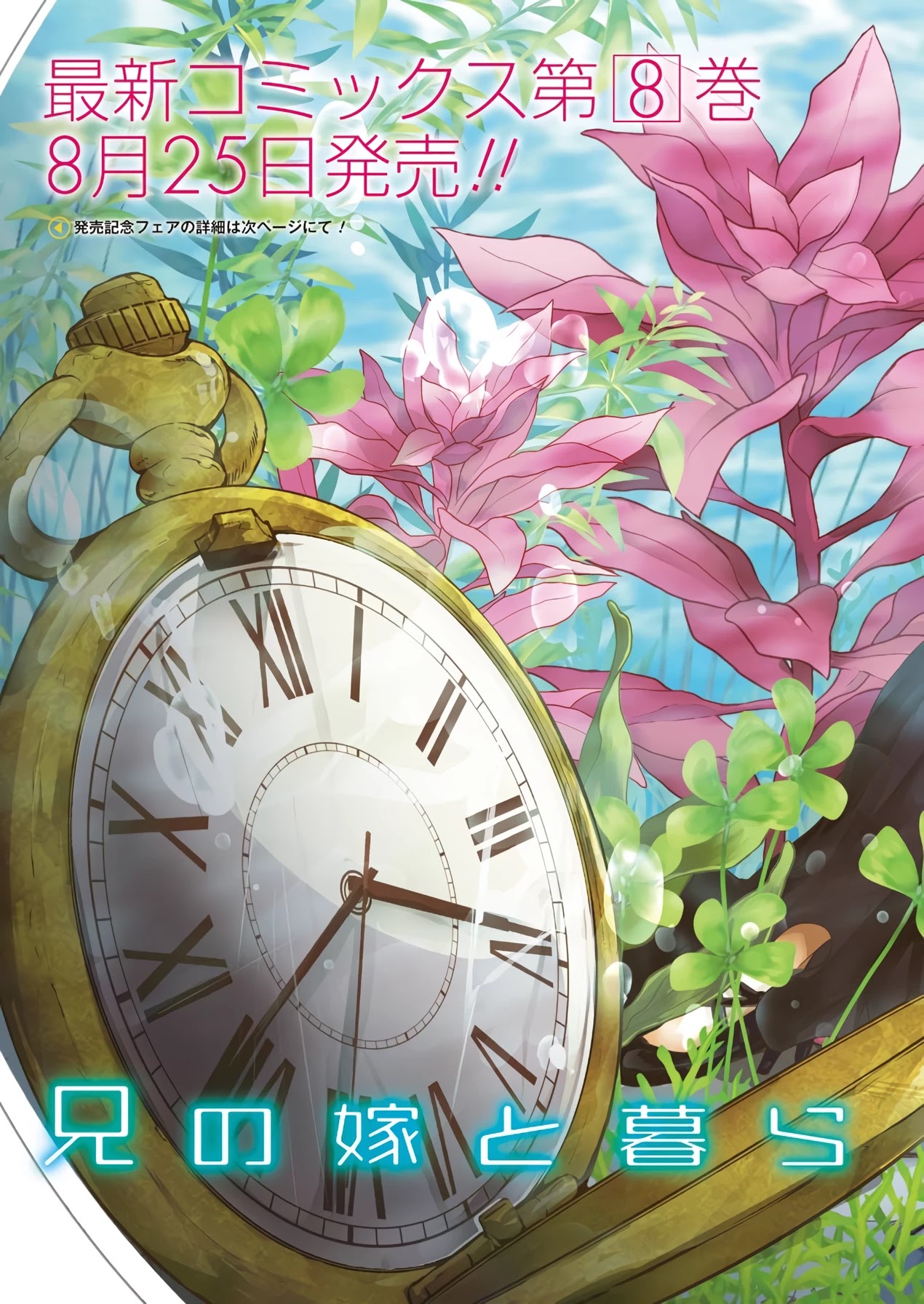 Ani no Yome to Kurashite Imasu. Chapter 84 page 3 - Chapter 84: Diary 84