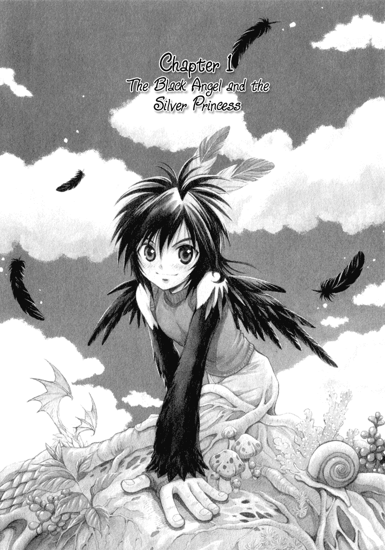 +Anima Chapter 1 page 6 - Chapter 1: The Black Angel And The Silver Princess