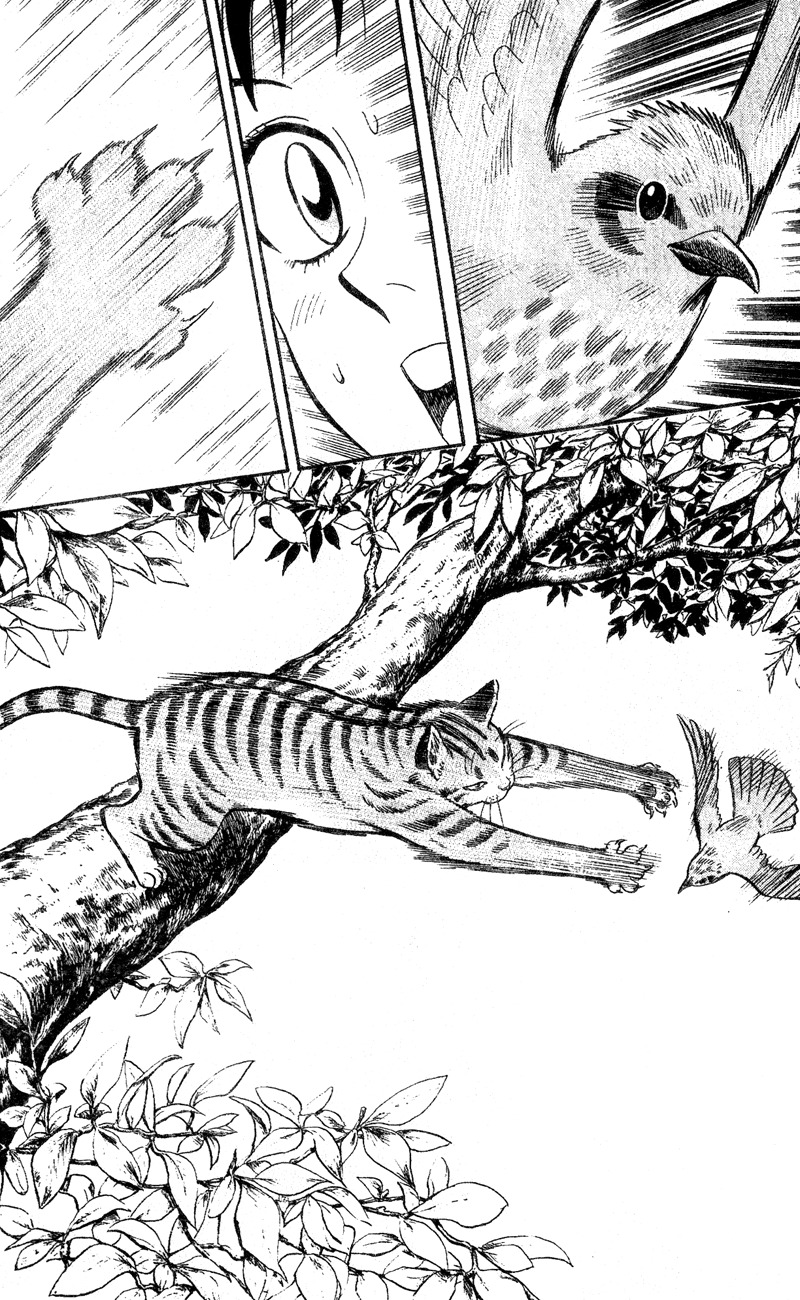 Animal Sense Chapter 1 page 16 - Chapter 1