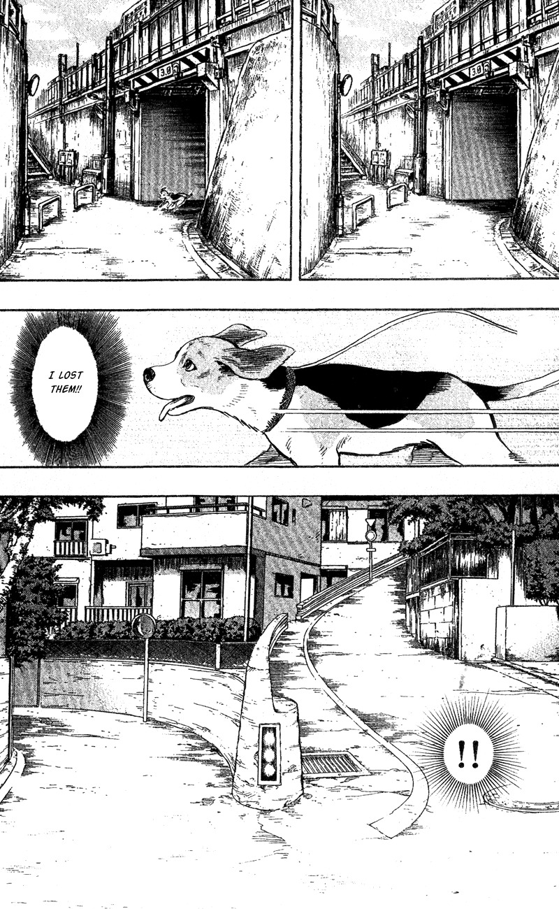 Animal Sense Chapter 1 page 40 - Chapter 1