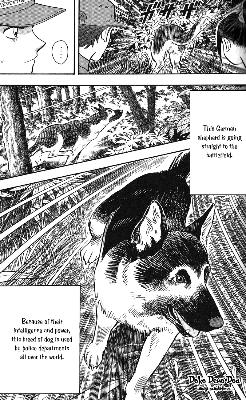 Animal Sense Chapter 12 page 19 - Chapter 12