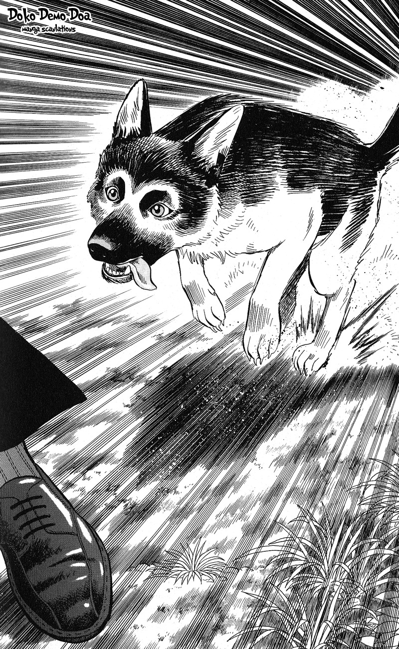 Animal Sense Chapter 12 page 28 - Chapter 12