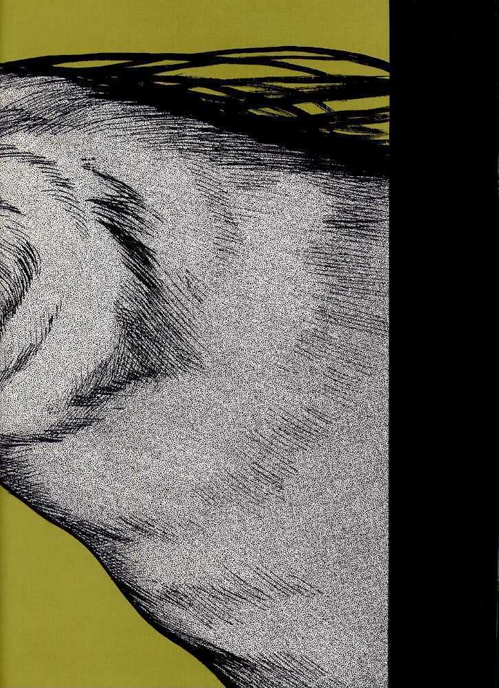 Animal X: Daichi no Okite Chapter 1 page 3 - Chapter 1 : Artbook