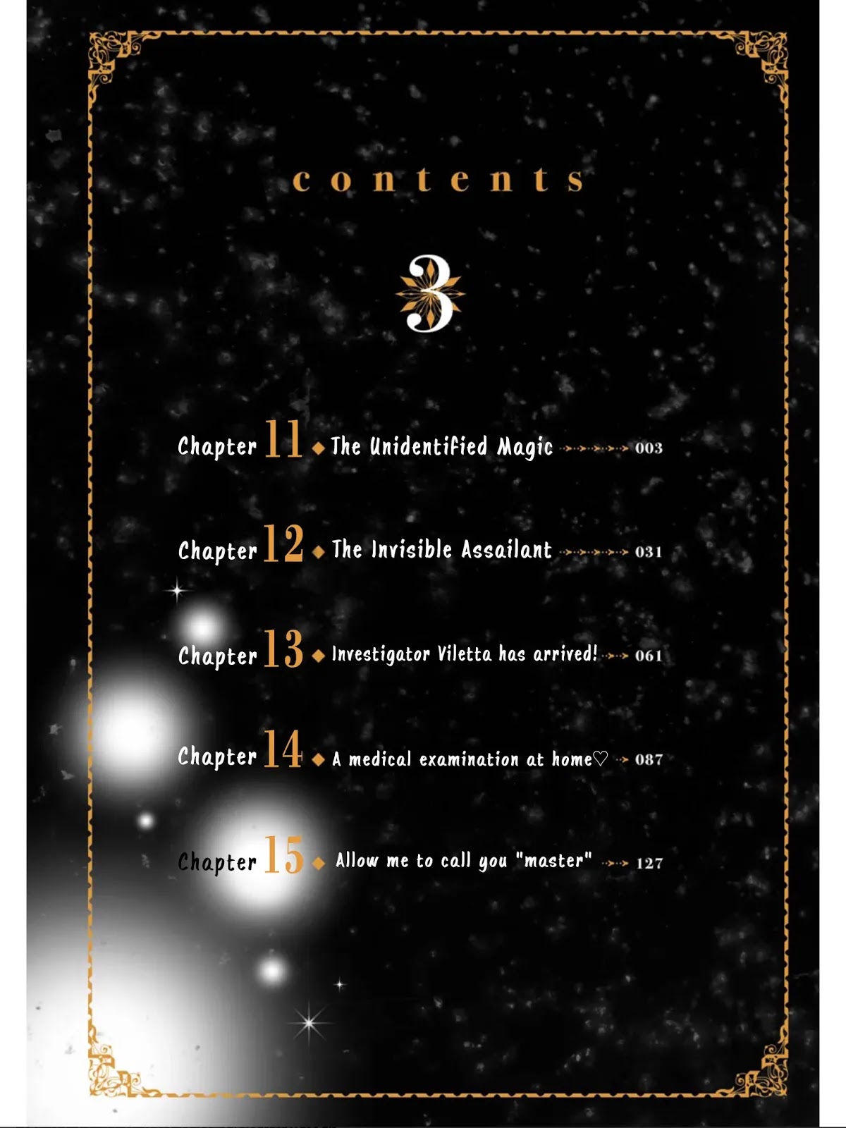 Ankoku Kishi no Ore desu Ga Saikyou no Seikishi wo Mezashimasu Chapter 11 page 3 - Chapter 11: The Unidentified Magic
