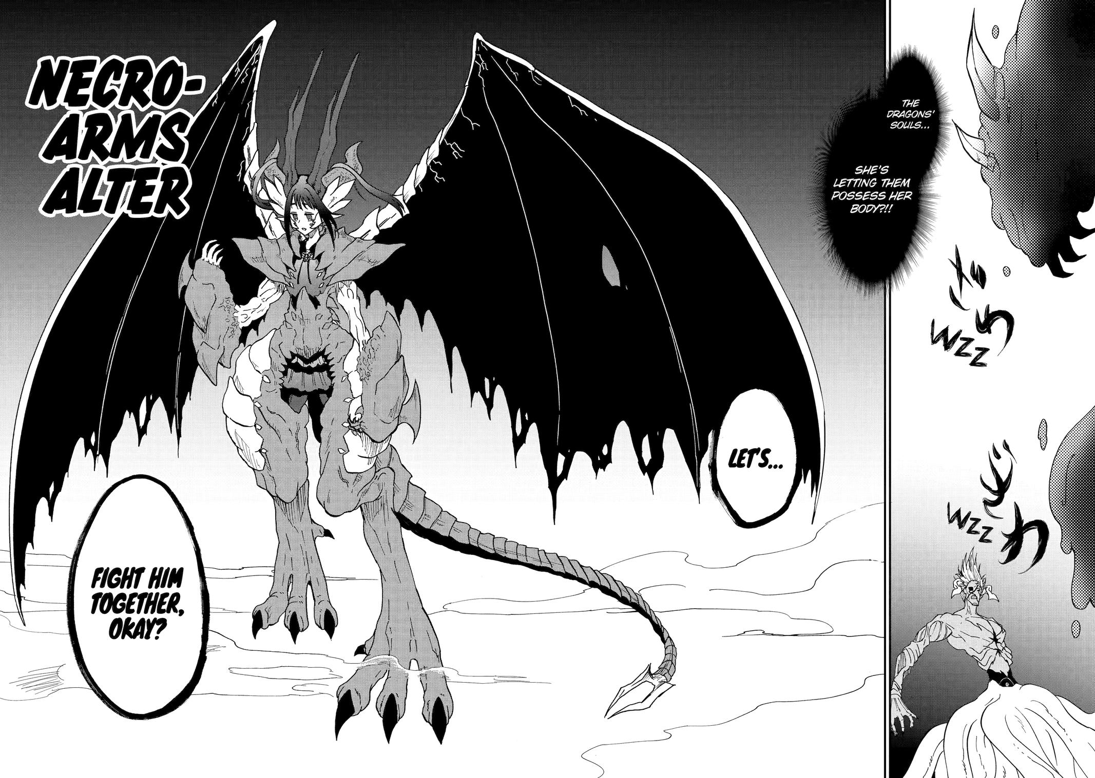 Ankoku Kishi no Ore desu Ga Saikyou no Seikishi wo Mezashimasu Chapter 64 page 11 - Chapter 64