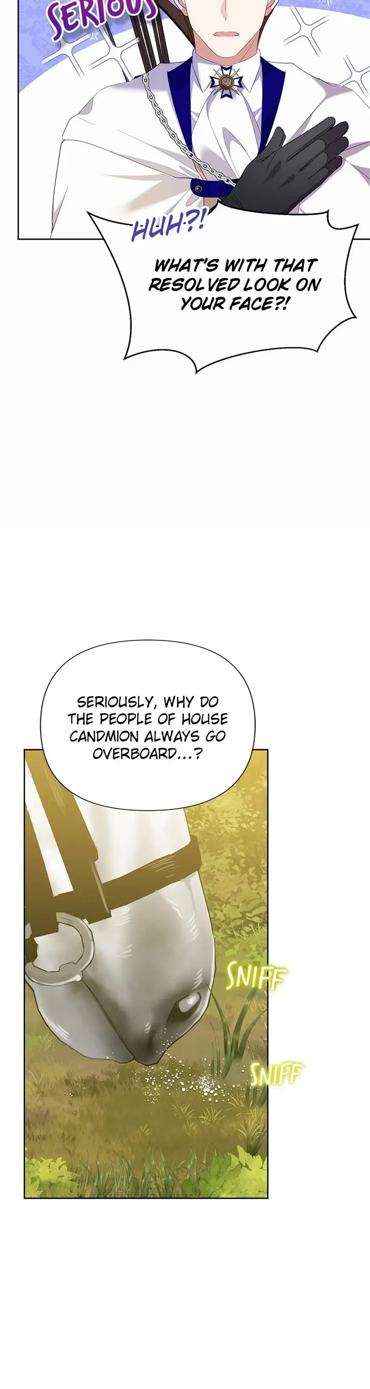 Another Happy Day for the Villainess Chapter 75 page 19 - Chapter 75