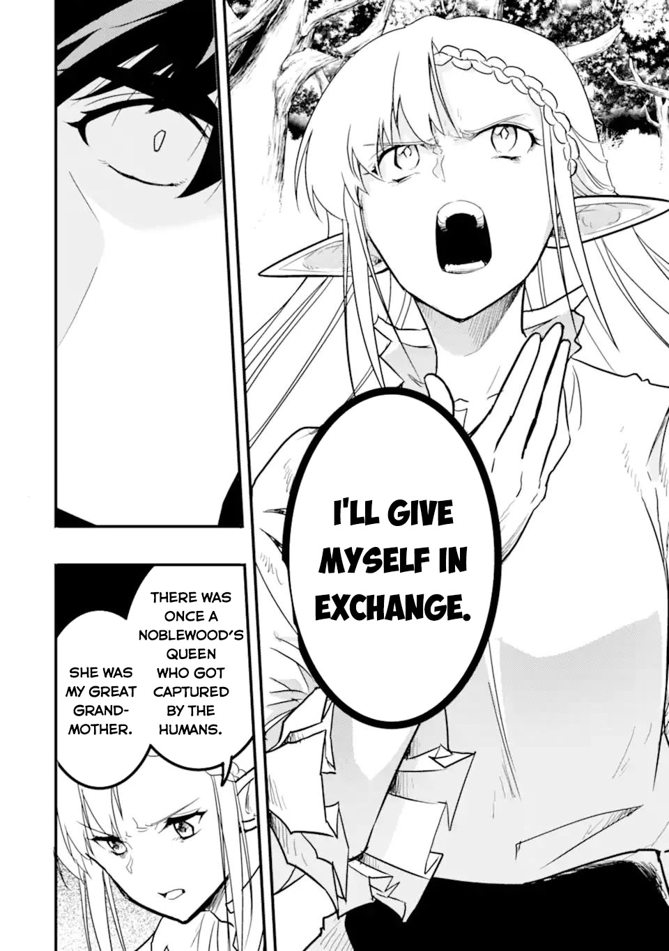 Another World Nation Archimaira: The Weakest King and his Unparalleled Army Chapter 11.2 page 14 - Chapter 11.2