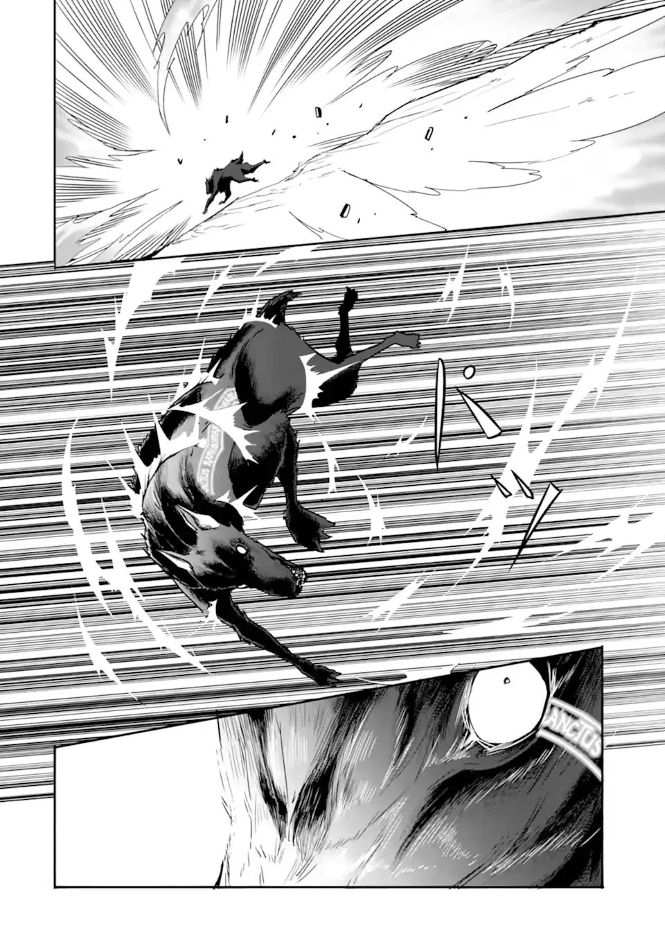 Another World Nation Archimaira: The Weakest King and his Unparalleled Army Chapter 3 page 19 - Chapter 3