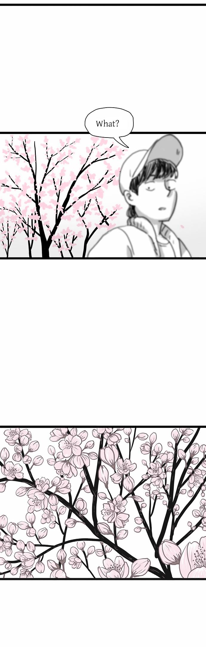 Another Year Together with the Cherry Blossoms Chapter 3 page 26 - Chapter 3