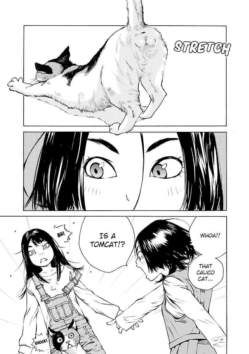 Ao no Shima to Neko Ippiki Chapter 13 page 6 - Chapter 13: Kiku