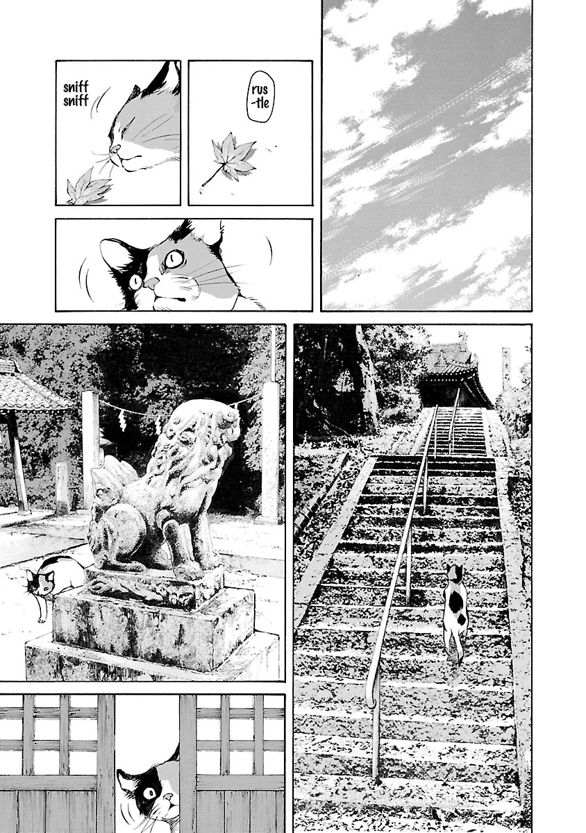 Ao no Shima to Neko Ippiki Chapter 14.5 page 4 - Chapter 14.5: Omake1: Mike's Everyday Life / Omake 2: Reunion
