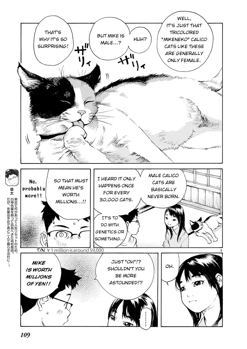 Ao no Shima to Neko Ippiki Chapter 4 page 5 - Chapter 4: The Summer Triangle
