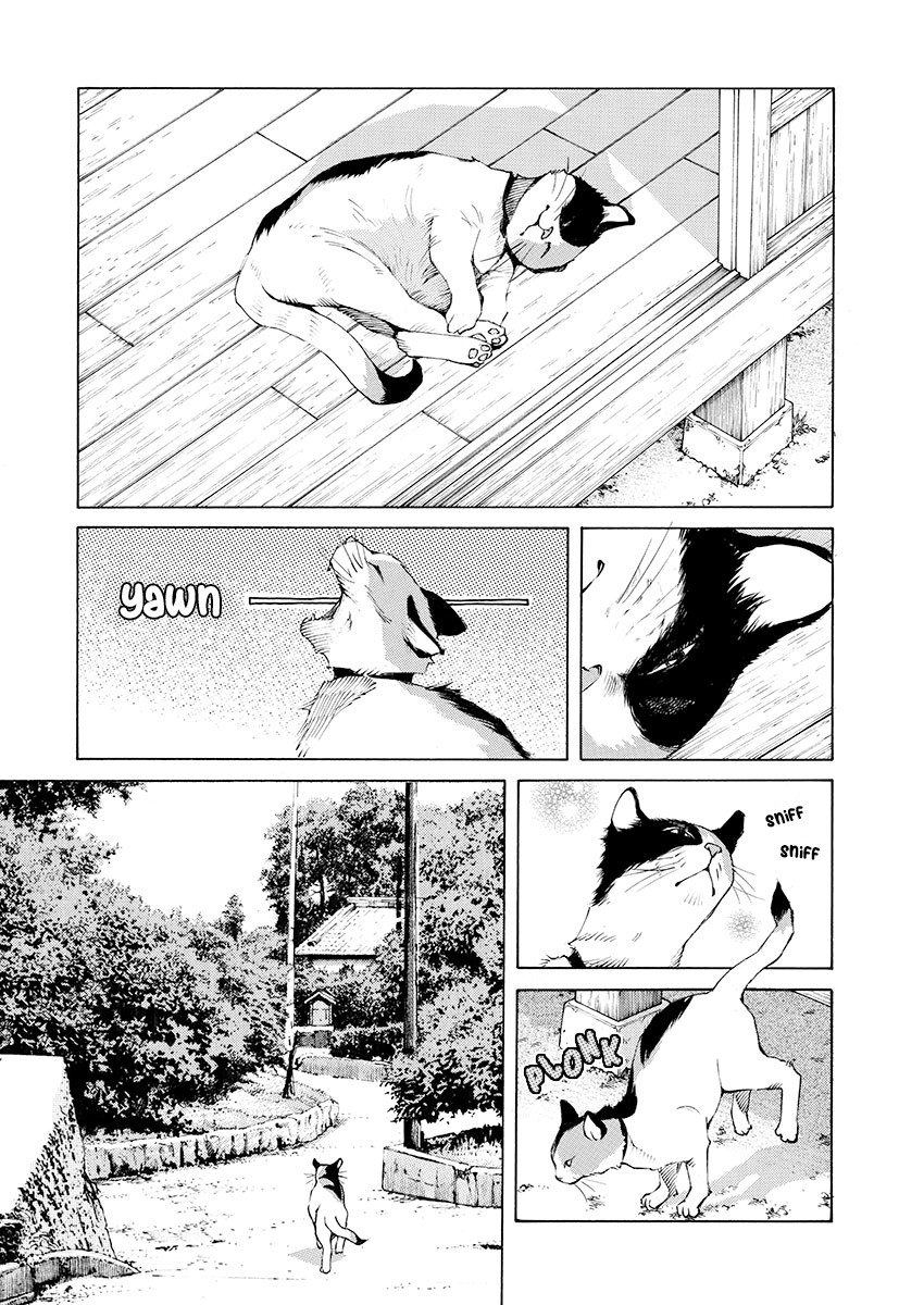 Ao no Shima to Neko Ippiki Chapter 9 page 14 - Chapter 9: Making Ends Meet
