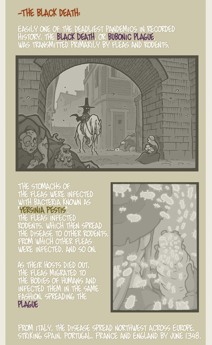 Apocalyptic Horseplay Chapter 69 page 4 - Chapter 69