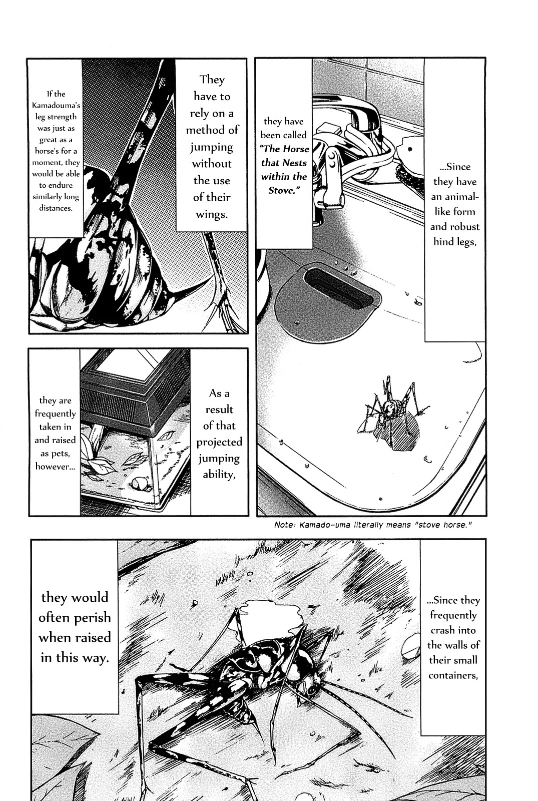 Arachnid Chapter 15 page 24 - Chapter 15: Waiting For Prey in the Middle of the Web