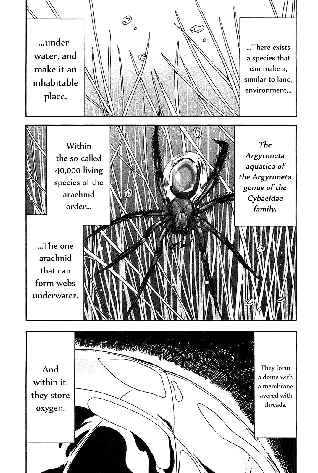 Arachnid Chapter 20 page 13 - Chapter 20 : Verifying One's Reason is the Organization's Duty