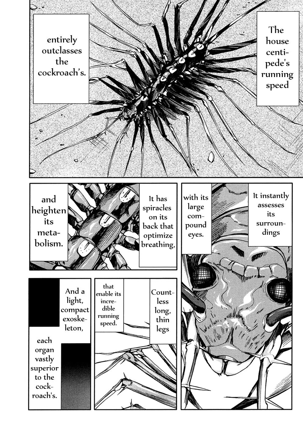 Arachnid Chapter 34 page 4 - Chapter 34: Anyone Is Fine As Long As It's a Girl!?