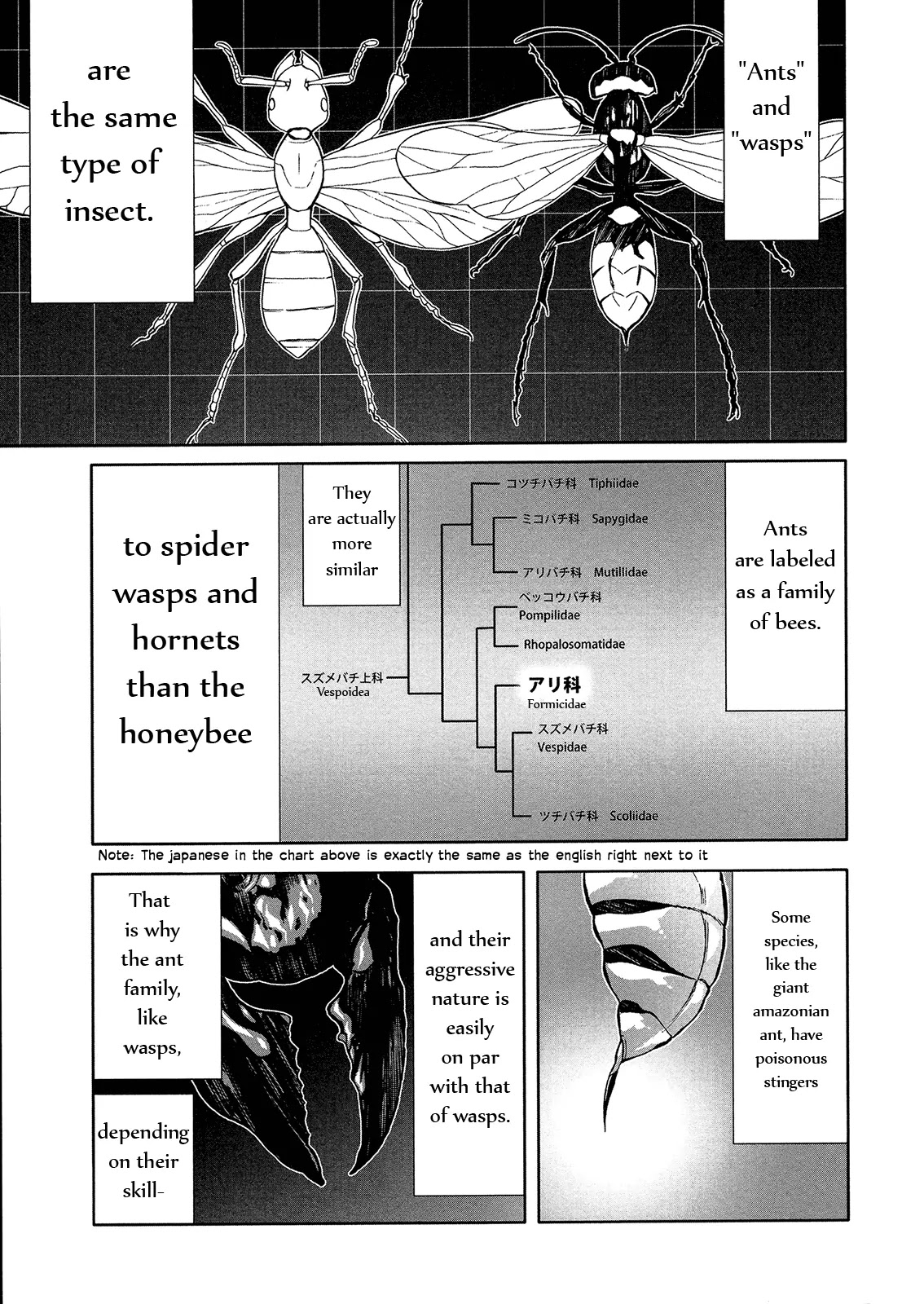 Arachnid Chapter 46 page 13 - Chapter 46: You're No Friend of Mine