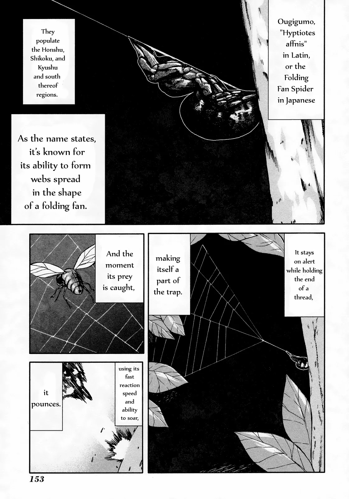 Arachnid Chapter 49 page 13 - Chapter 49: A Suitable Prey