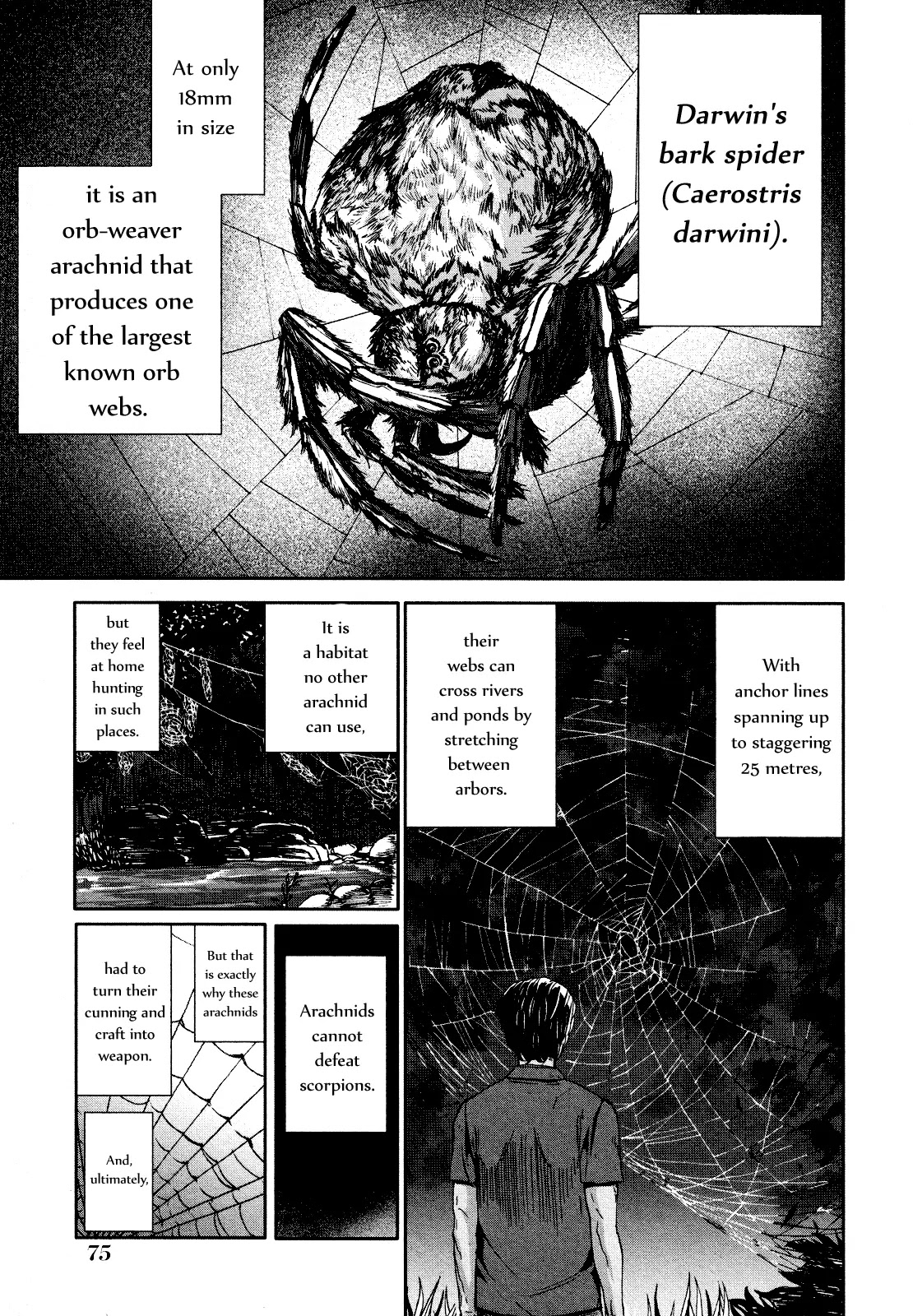 Arachnid Chapter 57 page 10 - Chapter 57: Since It Came To This