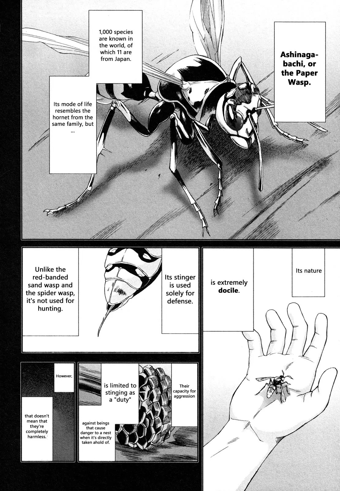 Arachnid Chapter 64 page 22 - Chapter 64: I am Suzumebachi
