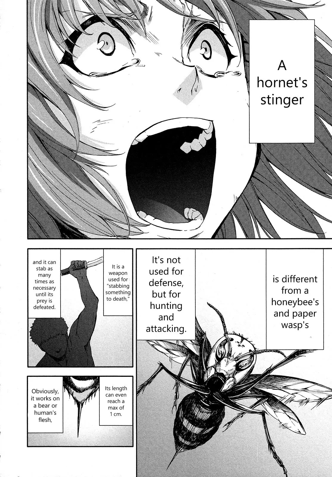 Arachnid Chapter 65 page 24 - Chapter 65: Thank You