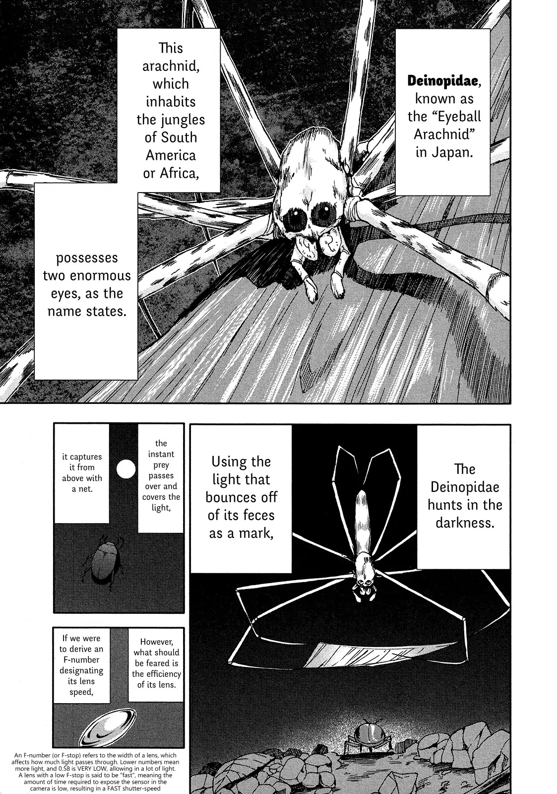 Arachnid Chapter 70 page 28 - Chapter 70: I Suppose It's Almost Time We End Things, Hm?