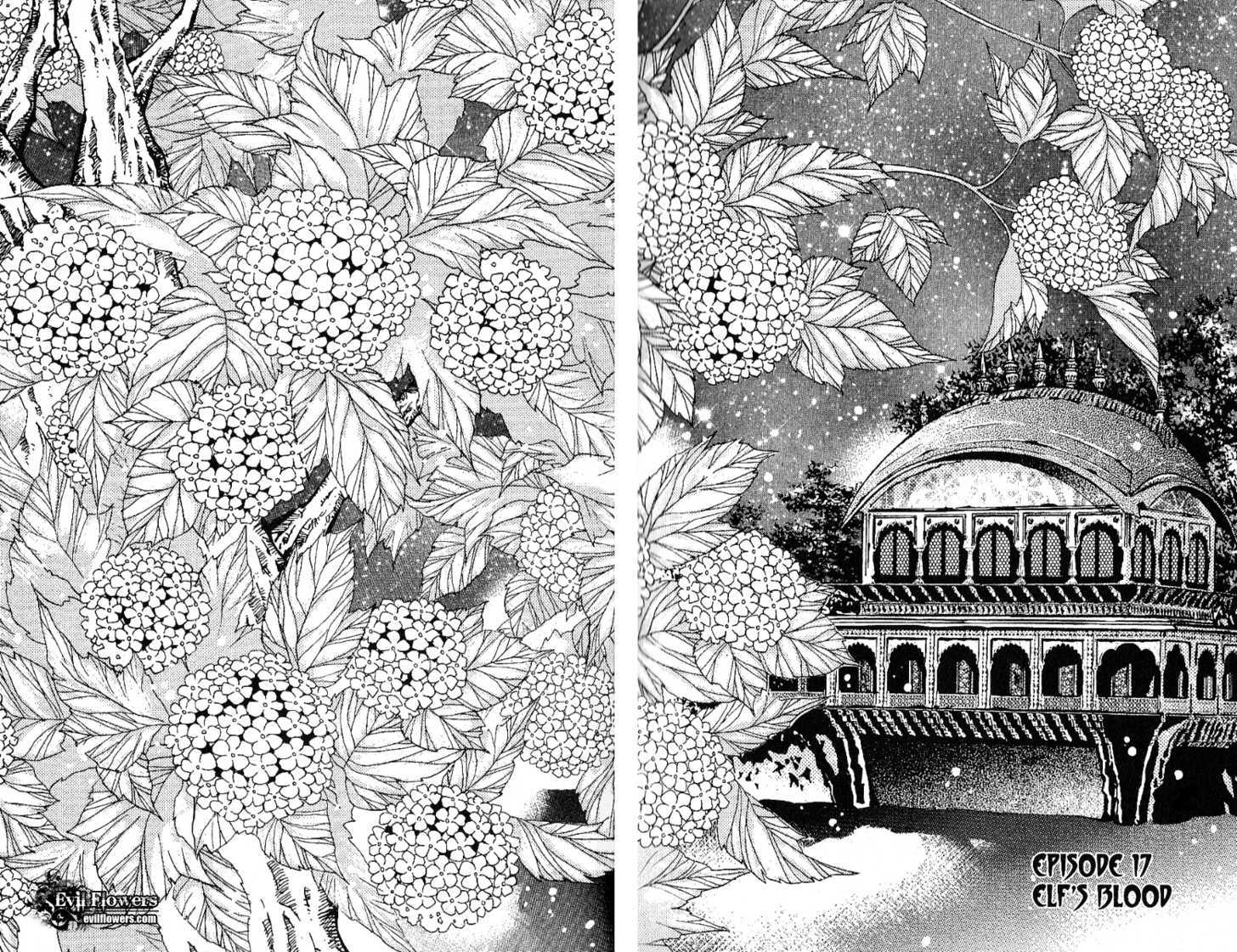 Arcana (Lee So Young) Chapter 17 page 12 - Chapter 17 : Elf's Blood