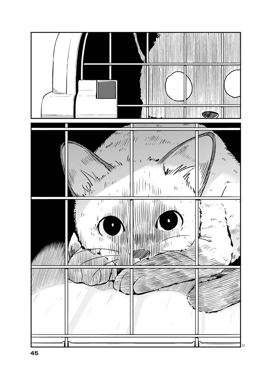 Are You Really Getting Married? Chapter 1 page 37 - Chapter 1: Is it true you’re getting married?