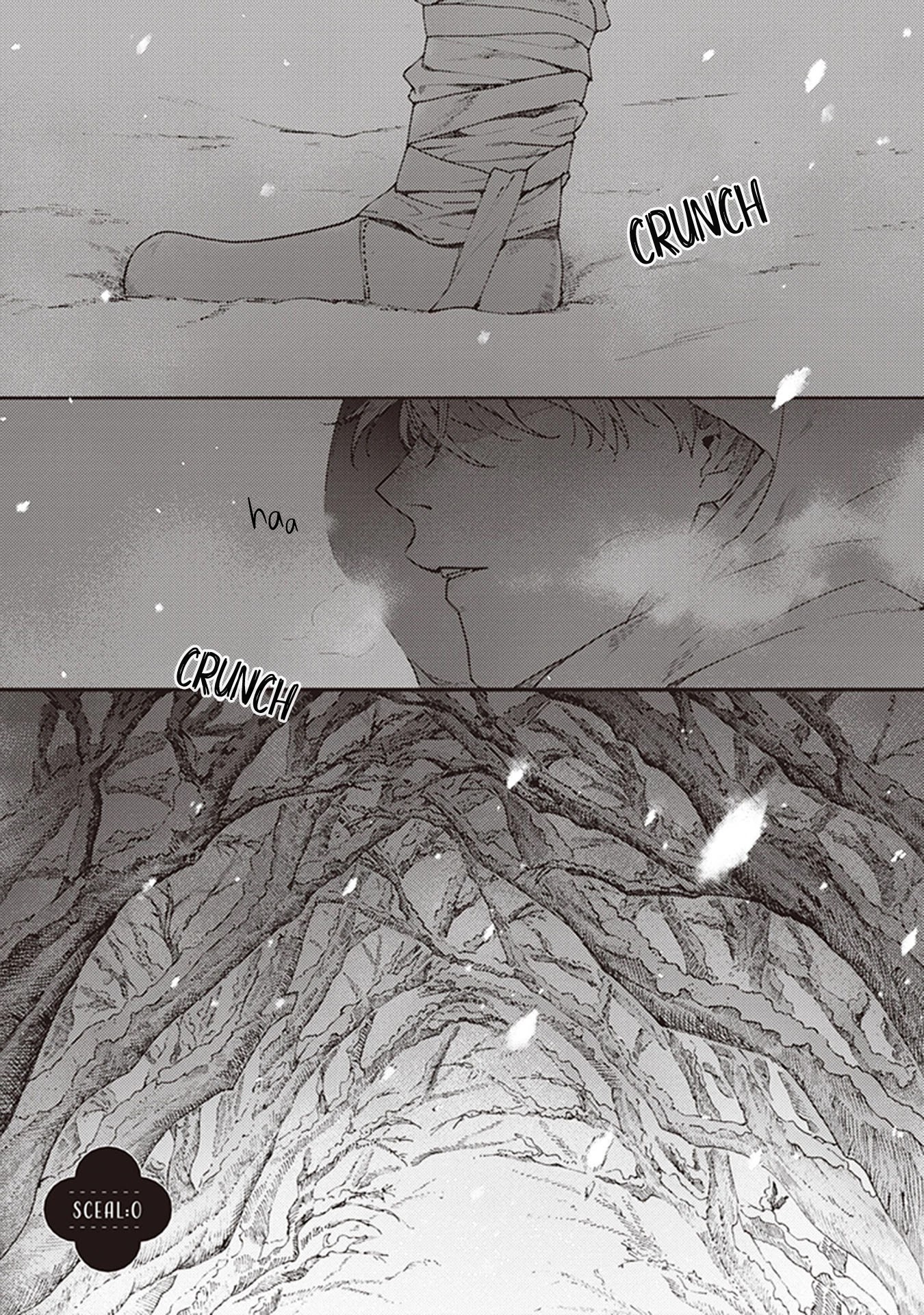 Aria of Beech Forest Chapter 0 page 5 - Chapter 0
