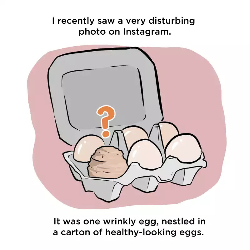 As Per Usual Chapter 219 page 2 - Chapter 219: Wrinkly Egg