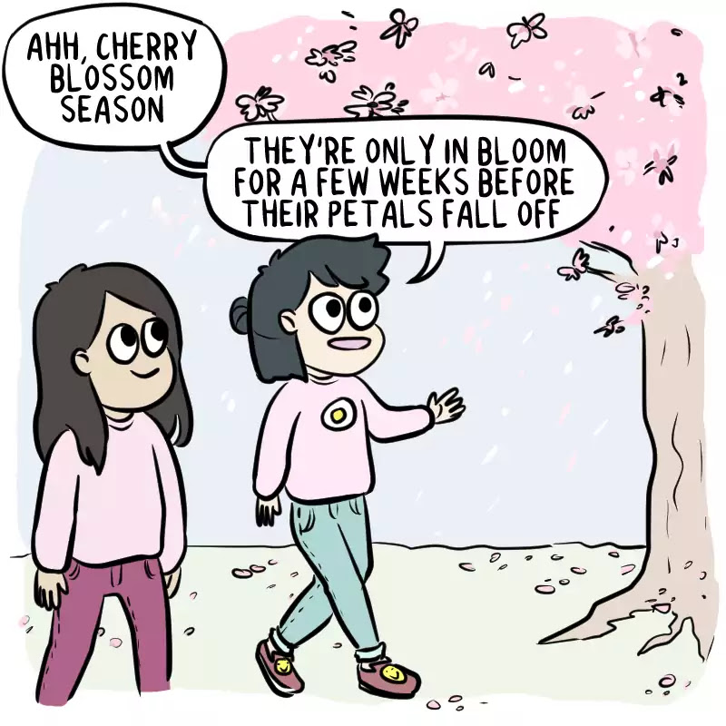 As Per Usual Chapter 229 page 2 - Chapter 229: Cherry Blossoms