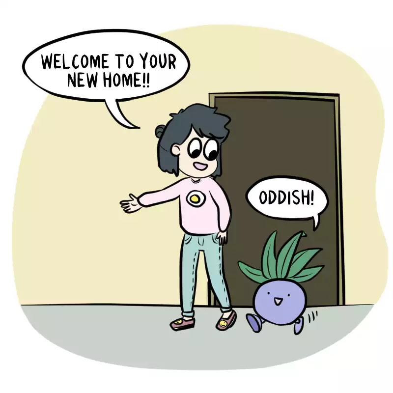 As Per Usual Chapter 234 page 2 - Chapter 234: Oddish's New Home