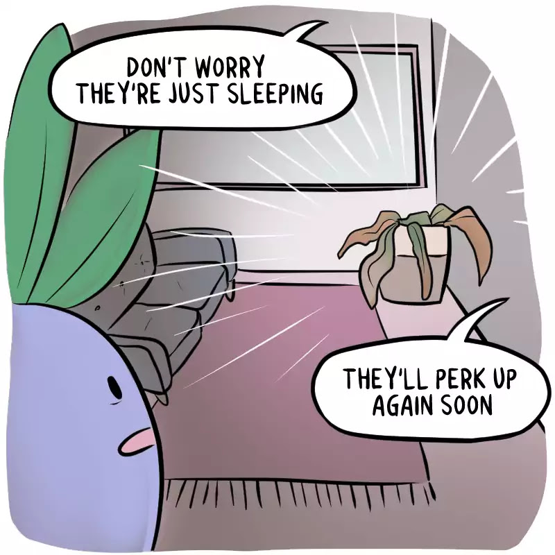 As Per Usual Chapter 234 page 4 - Chapter 234: Oddish's New Home