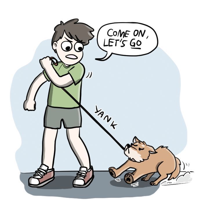 As Per Usual Chapter 51 page 2 - Chapter 51 : Dog Hero