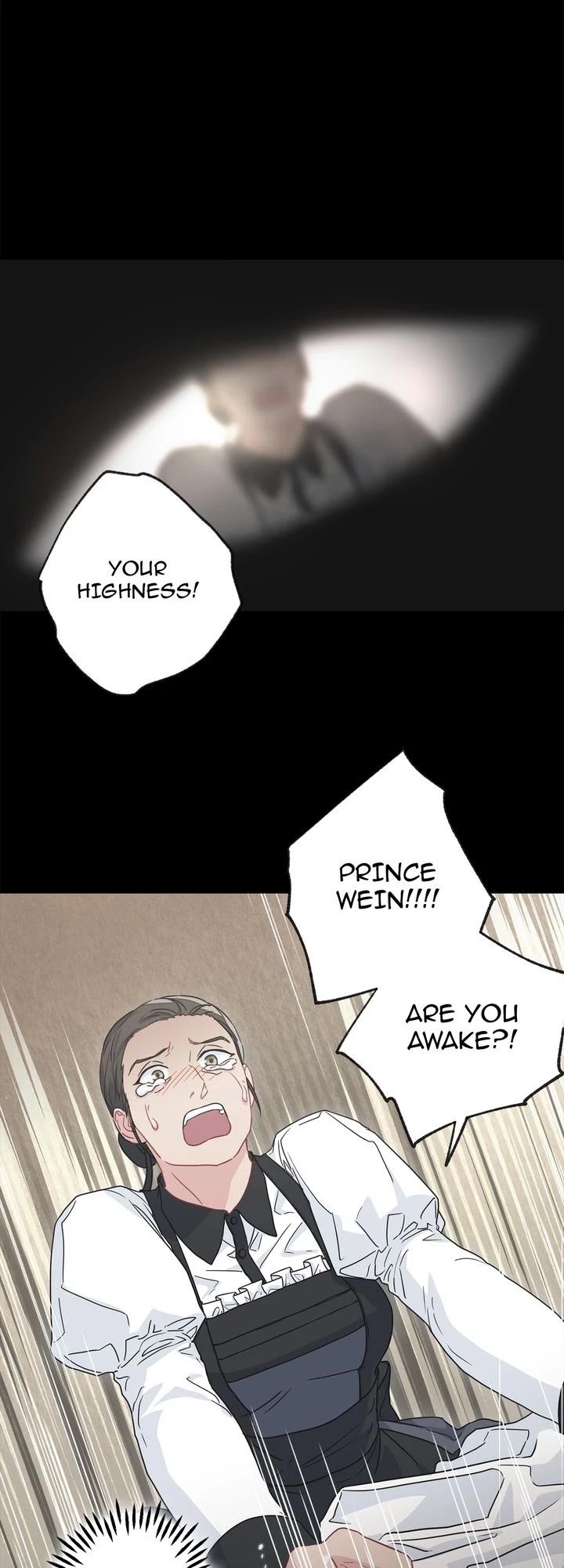 As You Wish, Prince Chapter 44 page 29 - Chapter 44