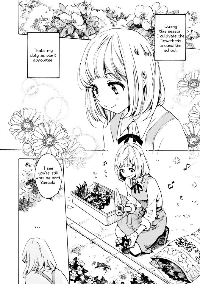 Asagao to Kase-san. Chapter 17 page 2 - Chapter 17 : Tulips and Kase-san