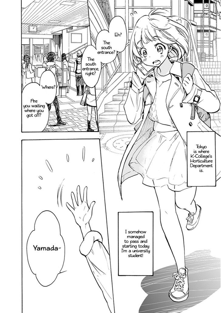 Asagao to Kase-san. Chapter 22 page 3 - Chapter 22 : Cherry Blossoms and Kase-san (Part 1)