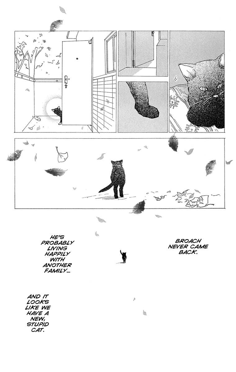 Assari Chocolate Chapter 3 page 48 - Chapter 3: Broach