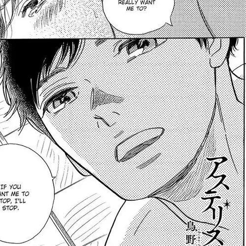 Asterisk (Torino Shino) Chapter 2 cover