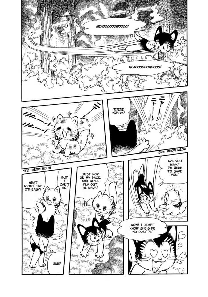 Astro Cat Chapter 2 page 17 - Chapter 2 : Astro's First Love