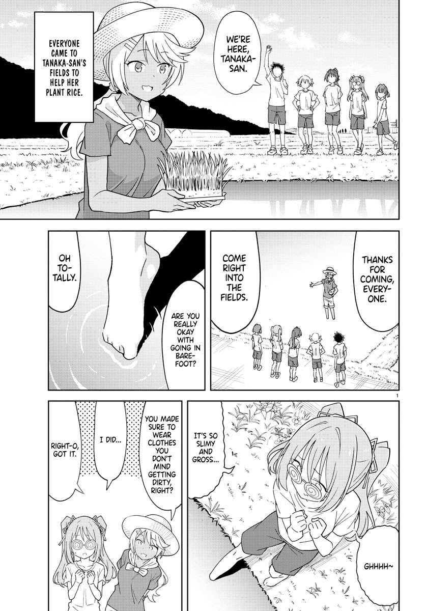Atsumare! Fushigi Kenkyu-bu Chapter 272 page 1 - Chapter 272: The Mystery of Rice Planting