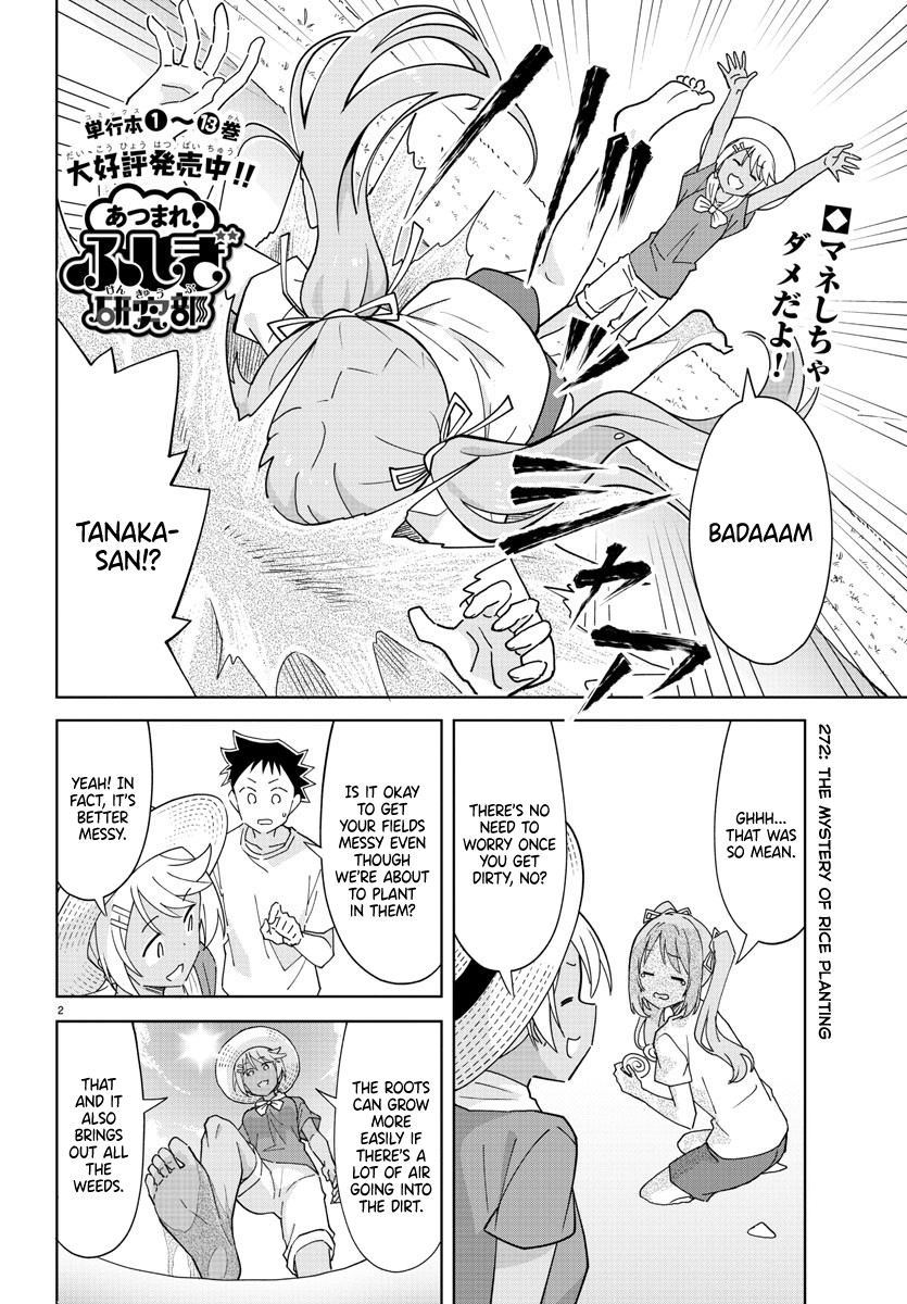 Atsumare! Fushigi Kenkyu-bu Chapter 272 page 2 - Chapter 272: The Mystery of Rice Planting