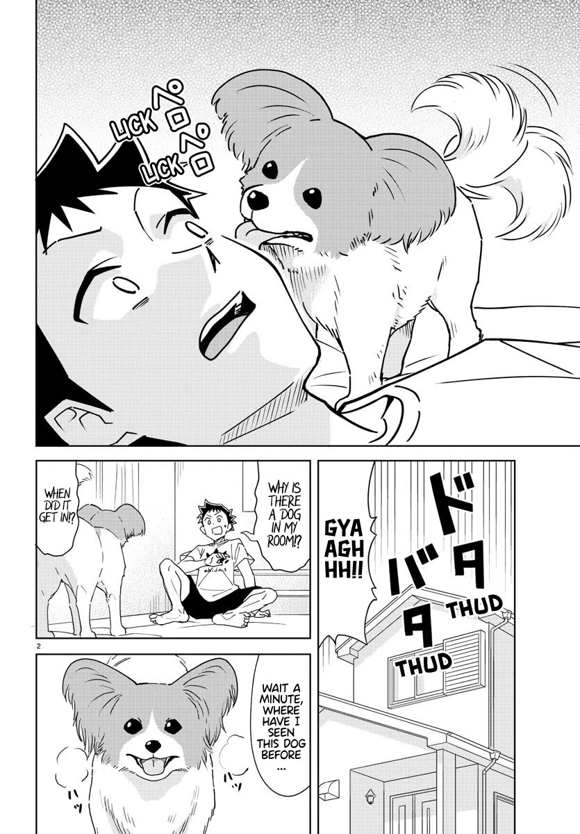 Atsumare! Fushigi Kenkyu-bu Chapter 325 page 2 - Chapter 325: The Mystery of Fearing Dogs