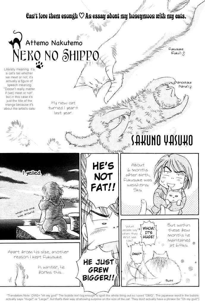 Attemo Nakutemo Neko no Shippo Chapter 0 page 3 - Chapter 0: Oneshot